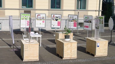 Neophytenausstellung im Rahmen des «Festival der Natur» Neophytenausstellung im Rahmen des «Festival der Natur»