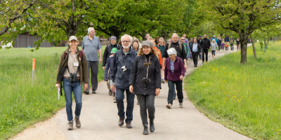 Heidespaziergang Heidespaziergang