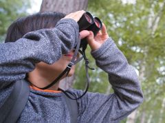 Stunde der Gartenvögel