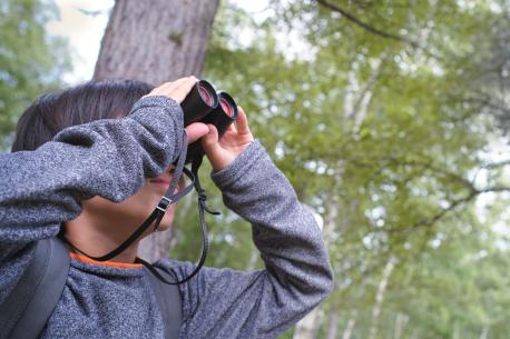 Stunde der Gartenvögel