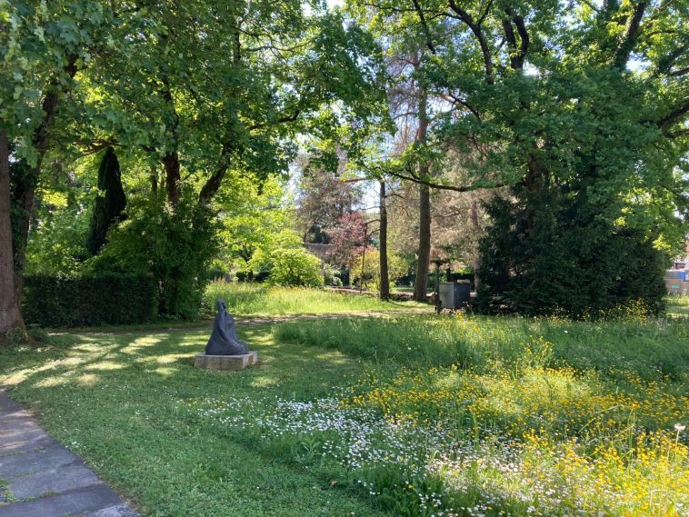 Alter Dorffriedhof heute: naturnahe Oase mitten im Stadtzentrum.