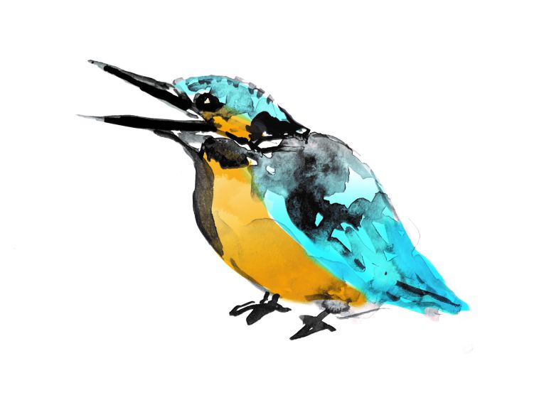 Die Illustration des Eisvogels ist das Maskottchen der Birsputzete 2025. Bild: zVg