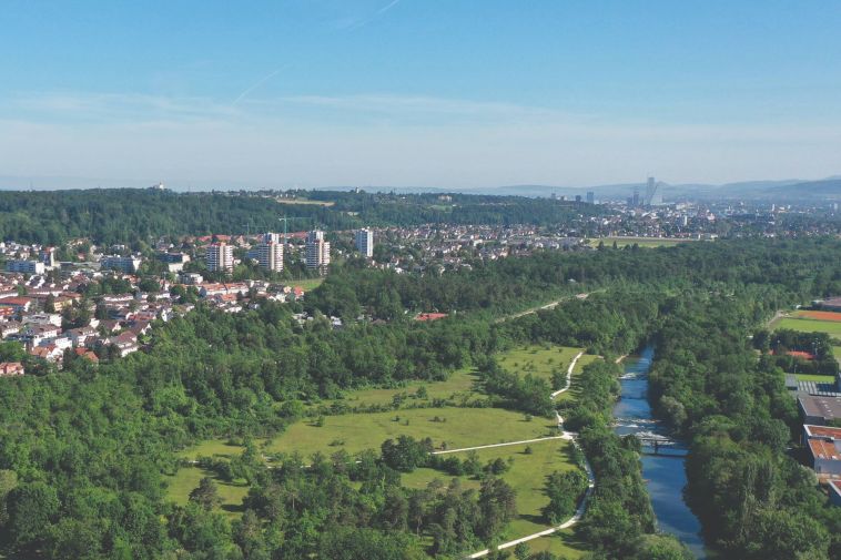 Reinacher Heide: Wichtig für die Trinkwasserversorgung der Region. Foto: Gemeinde Reinach