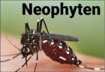 Neophyten