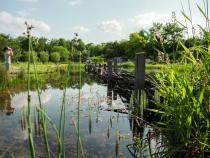 Natur-und Erlebnisweiher