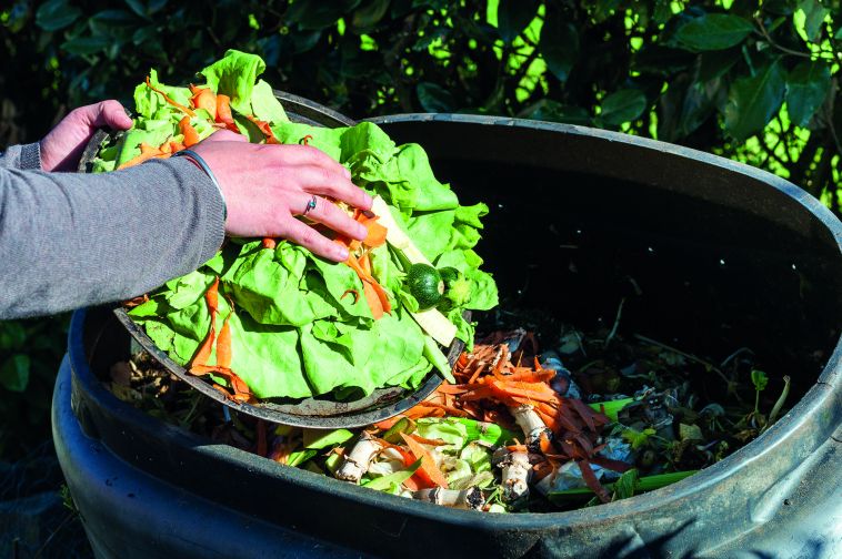 Infos zur Kompostberatung