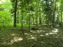 Leywald