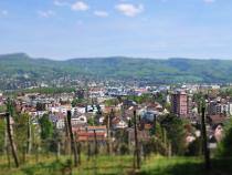 Rebberg