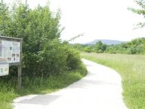 Reinacher Heide
