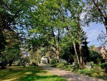 Stadtpark 2025