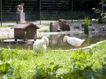 Tierpark