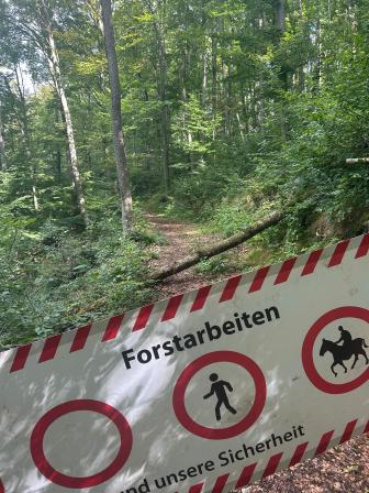 Den Sperrungen des Forstreviers Angenstein ist zur eigenen Sicherheit Folge zu leisten. Foto: Gemeinde Reinach